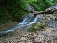 Morsche Baumstämme an Bachstufe